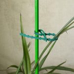 Attaches de câble de jardin réutilisables, 30/50/100 pièces, attaches de Support de plante et d'arbustes, verrouillage d'arbre, en Nylon, réglables, en plastique