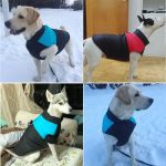 Waterproof Dog Clothes for Small Dogs Winter Warm Pet Dog Coat Large Dog Clothes Puppy Pug Vest French Bulldog Chihuahua Jacket