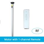 Motor with Remote 1