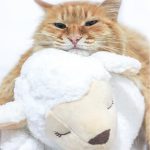 Dog Toy Plush Toy Comfortable Behavioral Training Aid Toy Heart Beat Soothing Plush Doll Sleep For Smart Dogs Cats Play