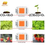 LED COB Lamp Bead 110V 220V 20W 30W 50W Smart IC LED Chip DIY For LED Floodlight Decoration Red Green Blue Yellow Warm Day White