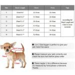 Dog Jumpsuit Winter Dog Clothes Fashion Cat Clothes Puppy Coat Hoodies Clothing Chihuahua Yorkies Pet Dog Jackets For Small Dogs