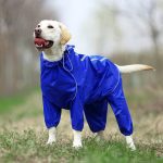 Pet Dog Raincoat Reflective Waterproof Zipper Clothes High Neck Hooded Jumpsuit For Small Big Dogs Overalls Rain Cloak Labrador