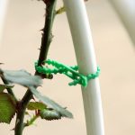 Attaches de câble de jardin réutilisables, 30/50/100 pièces, attaches de Support de plante et d'arbustes, verrouillage d'arbre, en Nylon, réglables, en plastique