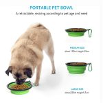 Dog 2 in 1 Bottle Pet Feeder Dog Water Bottle Collapsible Folding Bowl Travel Outdoor Food Water Storage For Cat Dog