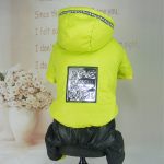 Fashion Silver Color Dog Down Jacket Winter Jumpsuit For Dogs Waterproof Hoodie Dog Clothes Cotton-padded Warm Coat Pet Costumes