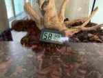 Digital LCD Thermometer Hygrometer for Pet Ant Farm Reptiles Turtle Box Temperature Sensor Humidity Meter Insect Box Accessories