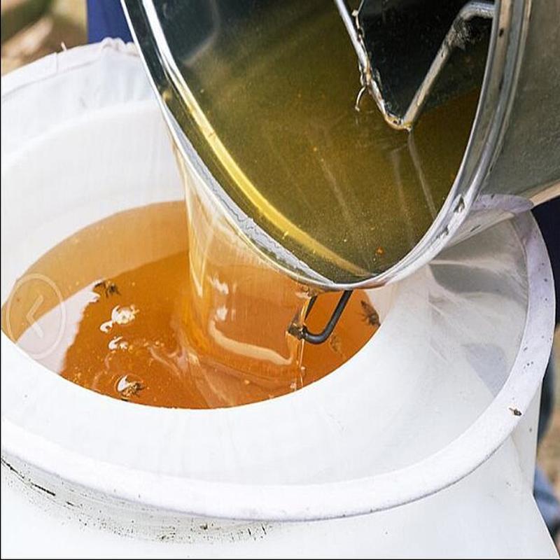 Filtre à miel en forme d'entonnoir Ultra-fin, filet filtrant pour apiculture, outils spéciaux, fournitures de jardin pour apiculture