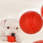 HOOPET Dog Toy Rubber Ball Bite-resistant Dogs Puppy Teddy Pitbull Pet Supplies