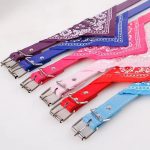 SUPREPET Cute Adjustable Small Dog Collars Puppy Pet Slobber Towel Outdoor Cat Collar Print Scarf Design Dog Collar Neckerchief