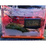 Digital LCD Thermometer Hygrometer for Pet Ant Farm Reptiles Turtle Box Temperature Sensor Humidity Meter Insect Box Accessories