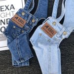 2020 New Denim Pet Dog Overalls Spring Summer Puppy Vest Cowboy Dog Clothes Puppy Teddy Denim Costume Jacket