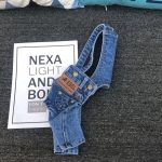 2020 New Denim Pet Dog Overalls Spring Summer Puppy Vest Cowboy Dog Clothes Puppy Teddy Denim Costume Jacket