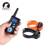 For 2 dogs