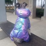 Silver Jumpsuit For Dogs Thick Pet Hoodie Parka Winter Dog Clothes Warm Four Legs Overalls For Small Dogs Puppy Schnauzer 10A