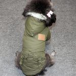 Pet Cats and Dogs Winter Warm Down Jacket Jacket Medium and Small Dog Chihuahua Hooded Clothes Lightweight Hoodie