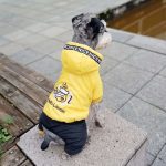 Silver Jumpsuit For Dogs Thick Pet Hoodie Parka Winter Dog Clothes Warm Four Legs Overalls For Small Dogs Puppy Schnauzer 10A