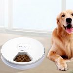 Plug Automatic Pet Feeders With Voice Record Stainless Steel Dog Food Bowl Auto Cat LCD Screen Timer Food Dispenser
