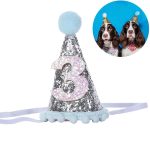 New Dog Birthday Hat Decorative Shiny Dog Hat Pet Headband Pet Headwear for Dogs Cats