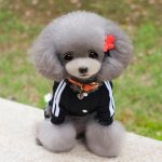 XS-XXL Pet Dog Clothes Warm Dog Jumpsuit Cat Puppy Pajamas Clothing Thicken Pet Hoodie Coat Outfit For Dogs Chihuahua Yorkie Pug