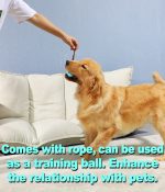 Popular Rubber Kong Dog Toy for French Bulldog Dog Teeth Brush Dog Chew Ball Interactive Pet Toys Labrador Teeth Cleaning Tools