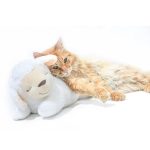 Dog Toy Plush Toy Comfortable Behavioral Training Aid Toy Heart Beat Soothing Plush Doll Sleep For Smart Dogs Cats Play