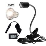 75W and Black holder