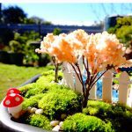 Mini champignons artificiels de 2 cm,10 pièces, mousse de Terrarium, pierreries artisanales, piquet de résine artisanat de décoration, nouvelle offre spéciale!