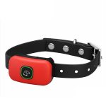 red collar